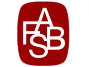 واکنش FASB نسبت به تحقیق SEC در زمینه به کار گیری یک سیستم حسابداری مبتنی بر اصول