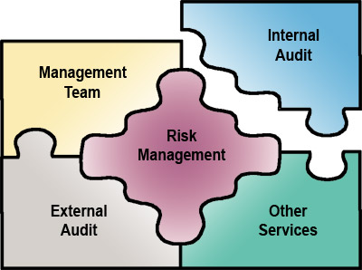 استانداردهای اجرای عملیات حرفه ای حسابرسی داخلی